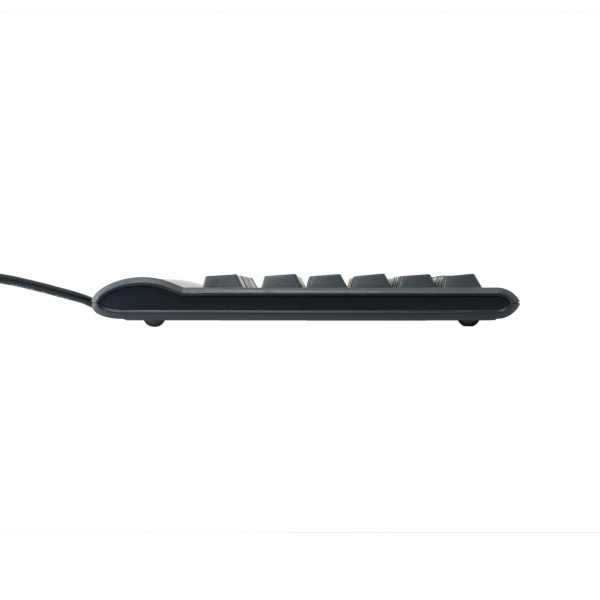 KINESIS Freestyle2 Tastatur QWERTZ USB